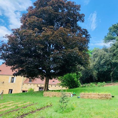 L'Ecrin Des Symes Villa Simeyrols Exteriör bild
