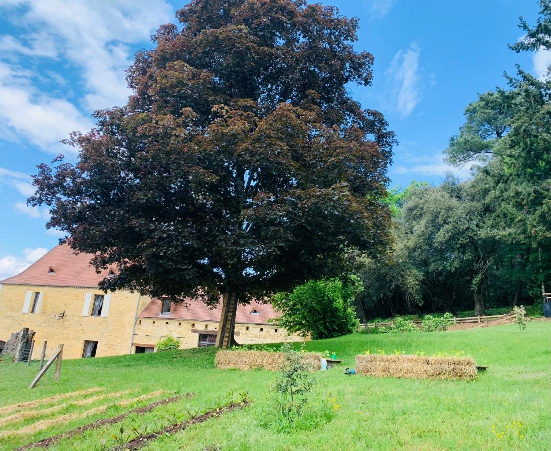 L'Ecrin Des Symes Villa Simeyrols Exteriör bild